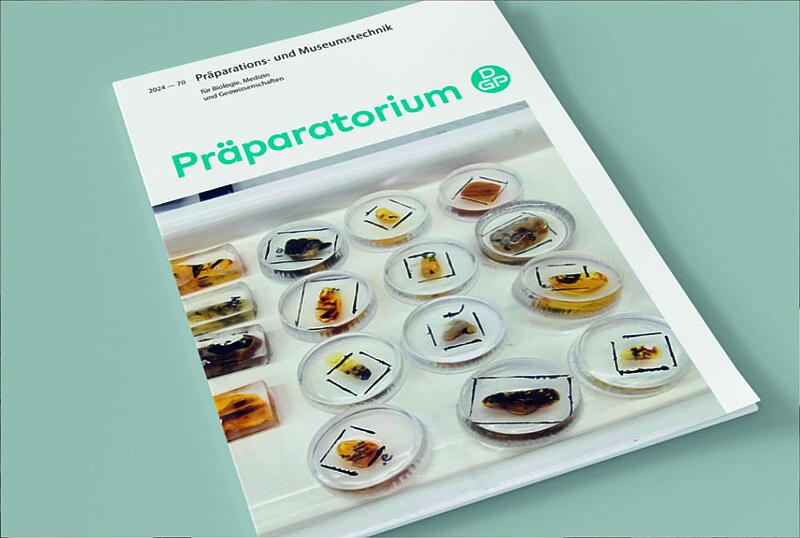 Das Magazin